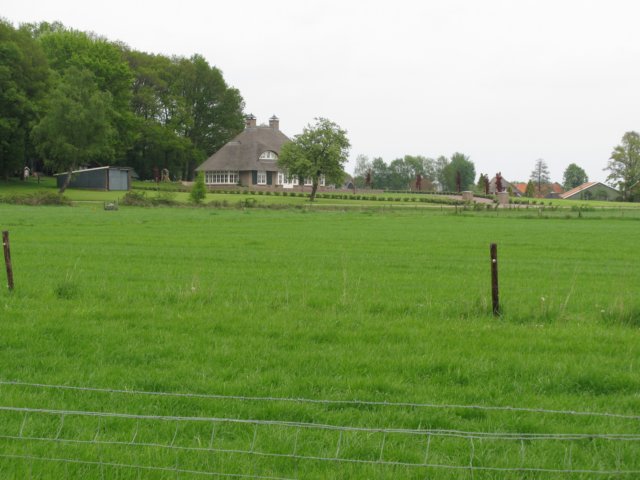 HWK2010 110.jpg